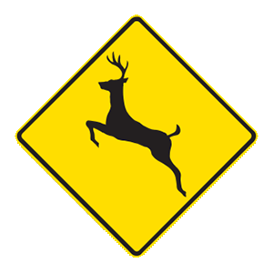 indiana-deer crossing