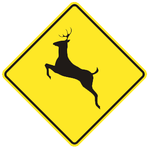 virginia-deer crossing